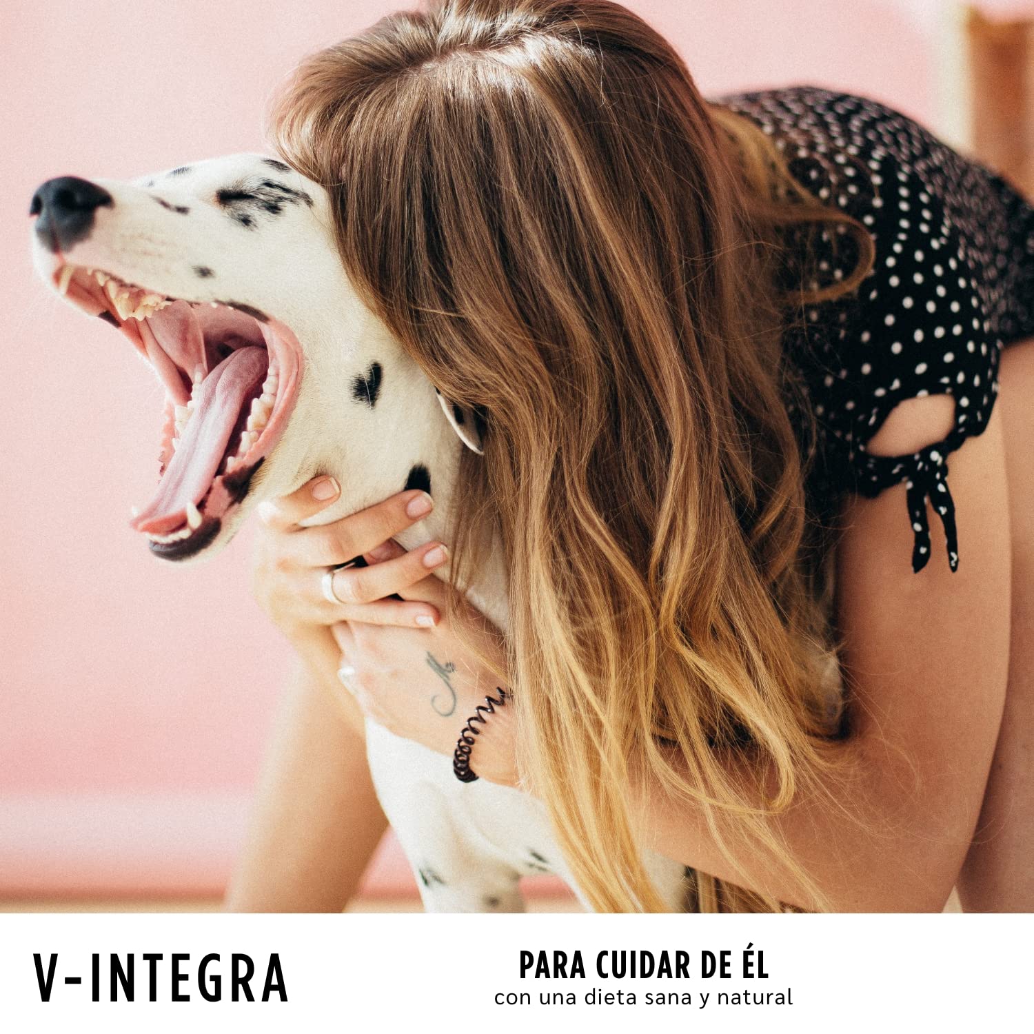V INTEGRA Epato 200g, Suplemento de Vitaminas y Minerales para Equilibrar Las Dieta Casera de Perros y Gatos Que Requieren Restricción de Cobre, Vitaminas para Perros y Gatos Made in Italy