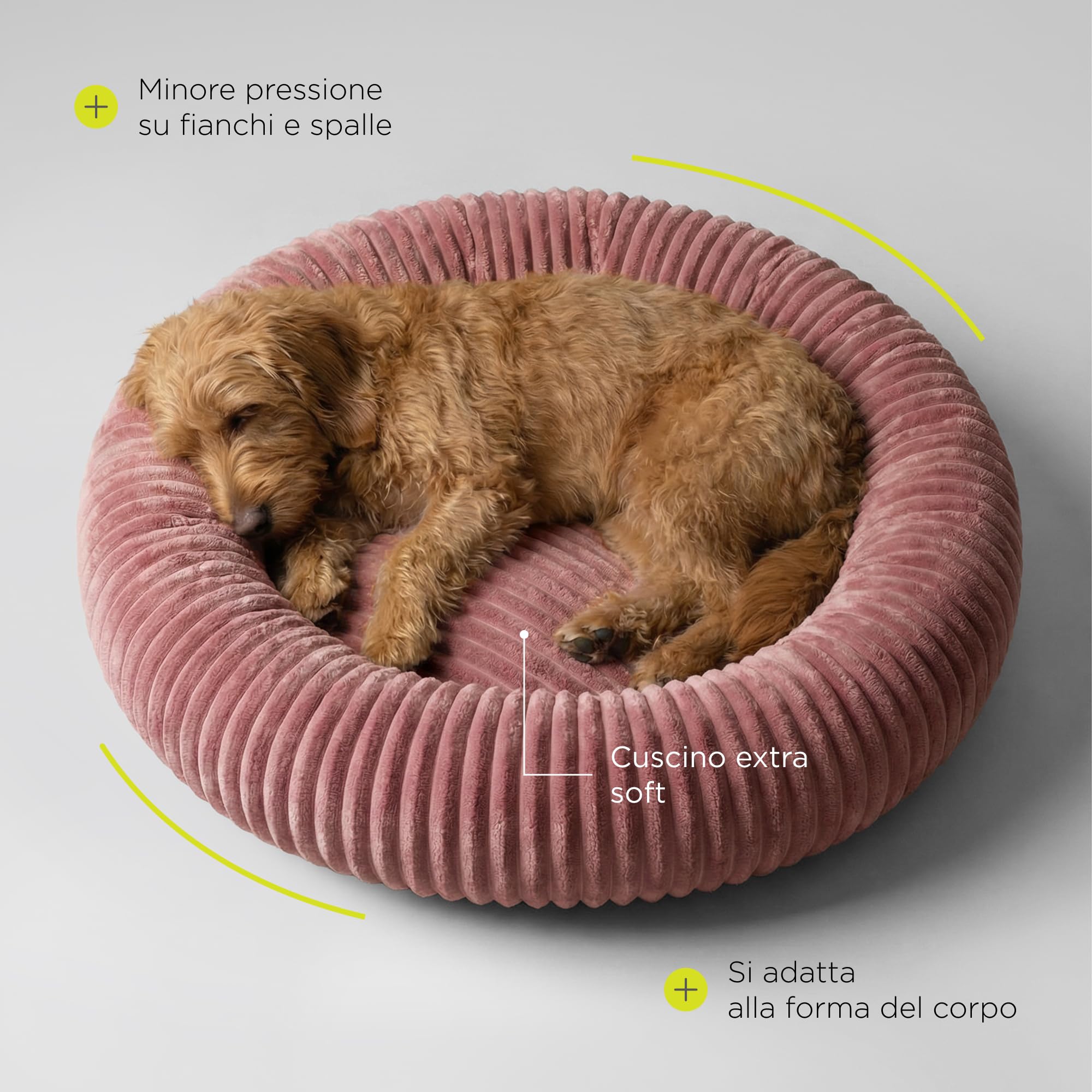 Koya Cuccia a Ciambella con Bordi Alti per Cani | Letto Rotondo Avvolgente, Memory Foam e Fibra Siliconata, Sfoderabile con Zip, Lavabile a 30°C, Fondo Antiscivolo