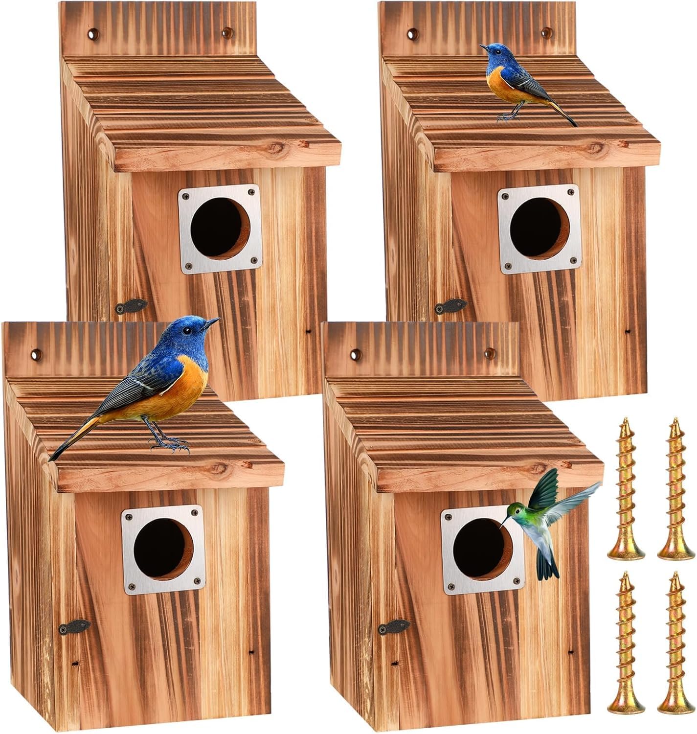 Casita para pajaros