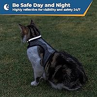 Vista 4 de Collares reflectantes personalizados para gatos, Negro