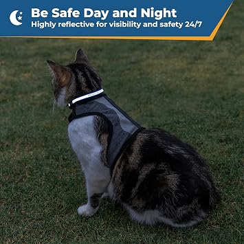 GoTags Personalised Reflective Cat Collar with Bell, Engraved with Name and Phone Identification, Breakaway Quick Release Collar with Safety Release Buckle, Adjustable for Cats and Kitten (Pink)