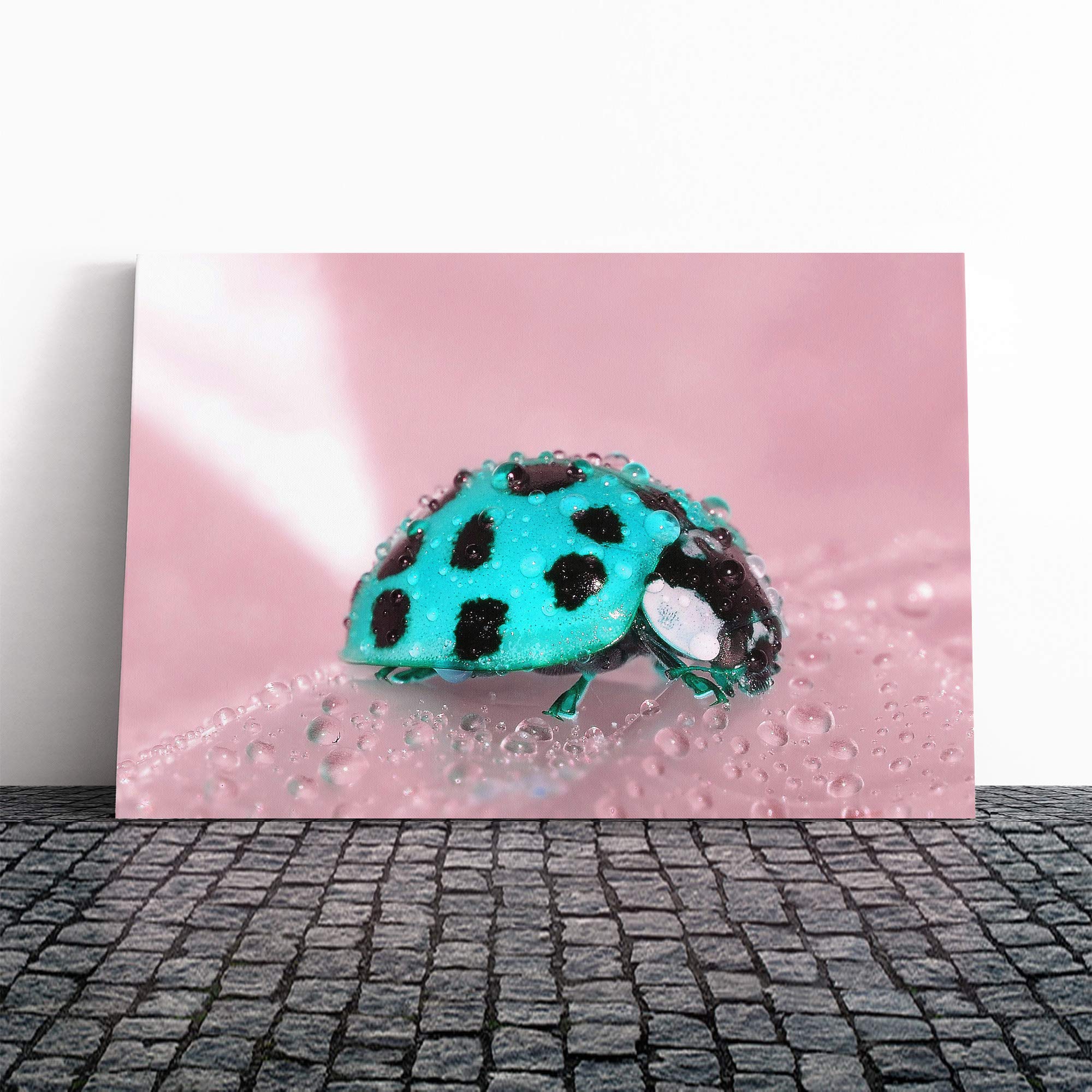 Blue Ladybird Canvas Print | Gallery Wrapped 30mm Frame Wall Art | 24x16 inches | Ready to Hang | Modern Animals Picture | Living Room Bedroom Lounge Office