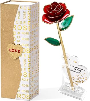 Mikasol Gold Dipped 24K Forever Preserved Rose, 1 Pack Infinity Flower Decor Hand Dipped Romantic Gift for Women in Her Wife Girlfriend Birthday Anniversary Valentines Mothers Day ChristmasRed