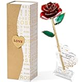 Mikasol Gold Dipped Real 24K Forever Preserved Rose, 1 Pack Infinity Flower Decor Hand Dipped Romantic Gift for Women in Her Wife Girlfriend Birthday Anniversary Valentines Mothers Day Christmas(Red)