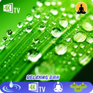 Relax your body with Nature Gentle Rain ☔ Sounds For Sleep And Meditation Anti Stress Peaceful Sleep And Meditation No Ads
