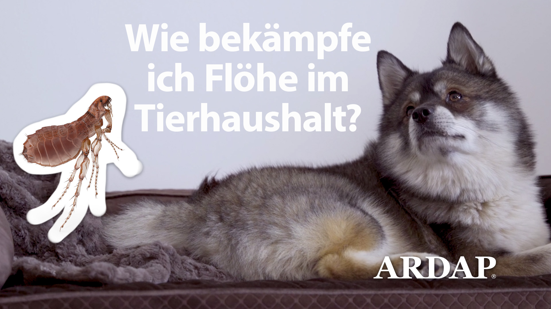 saatgut aufbewahrung Saatgut- Aufbewahrungsbox