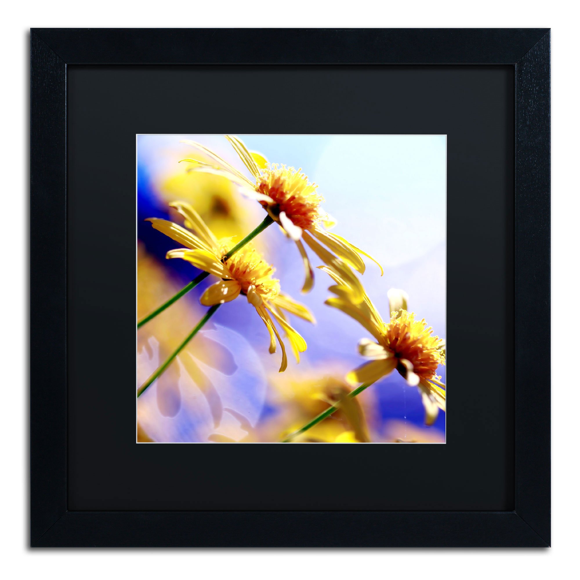 Sunny Days in Black Matte and Black Frame Artwork by Beata Czyzowska Young, 16 by 16-Inch