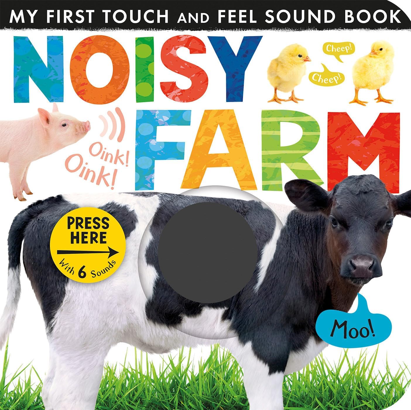 Noisy Farm (My First Touch and Feel Sound Book) Board book – Picture Book, 1 Sept. 2013