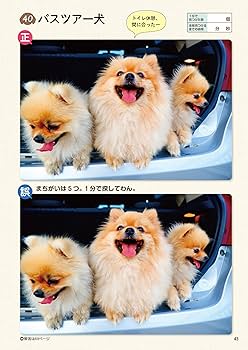 毎日脳活スペシャル いぬのまちがいさがし ポメラニアンてんこ盛り