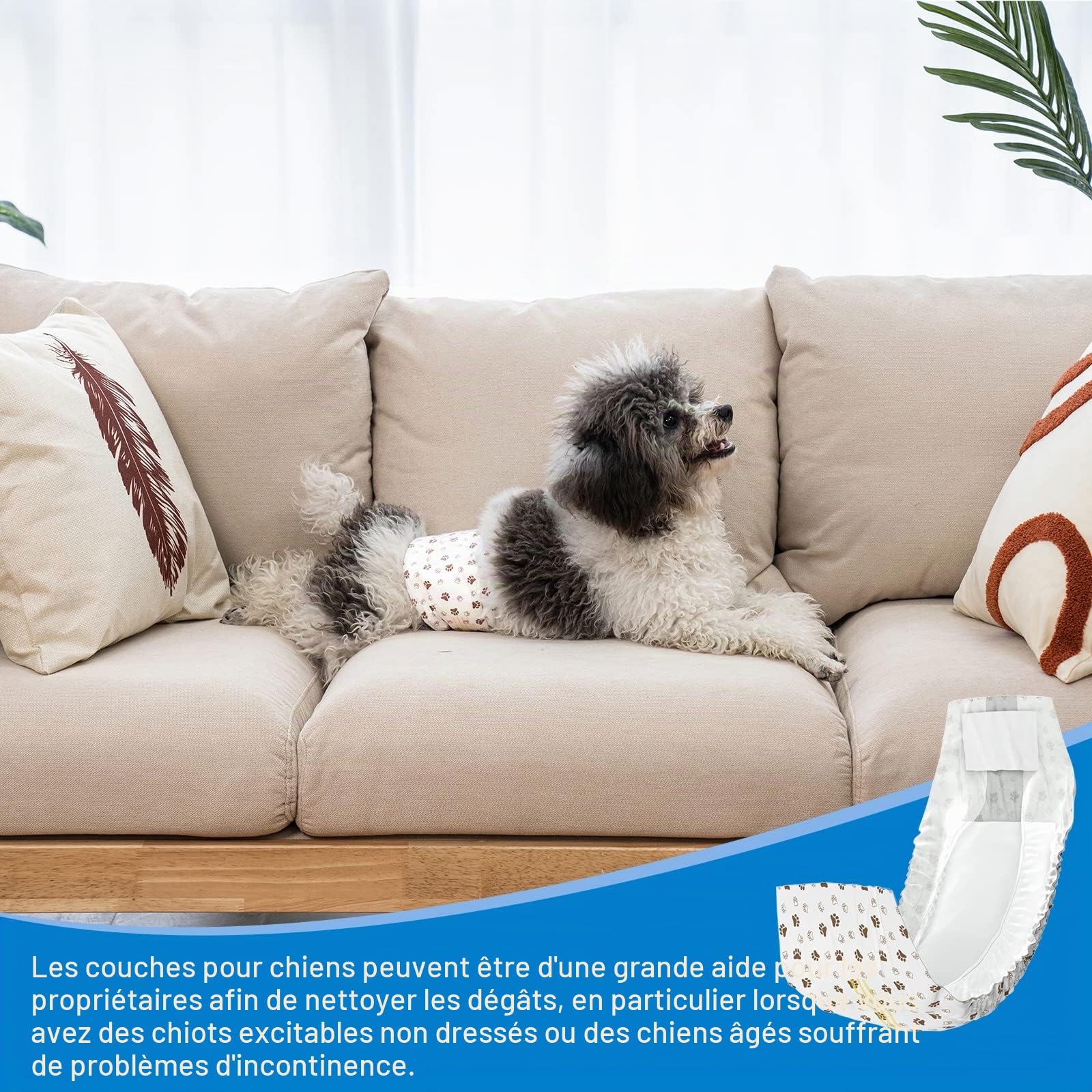 Pet Soft Couche Chien Male, Lot de 20 Couches Jetables pour Chiens Male, Super absorbantes Couche pour Chien Incontinent avec Indicateur d'humidité (S-20 Unité)