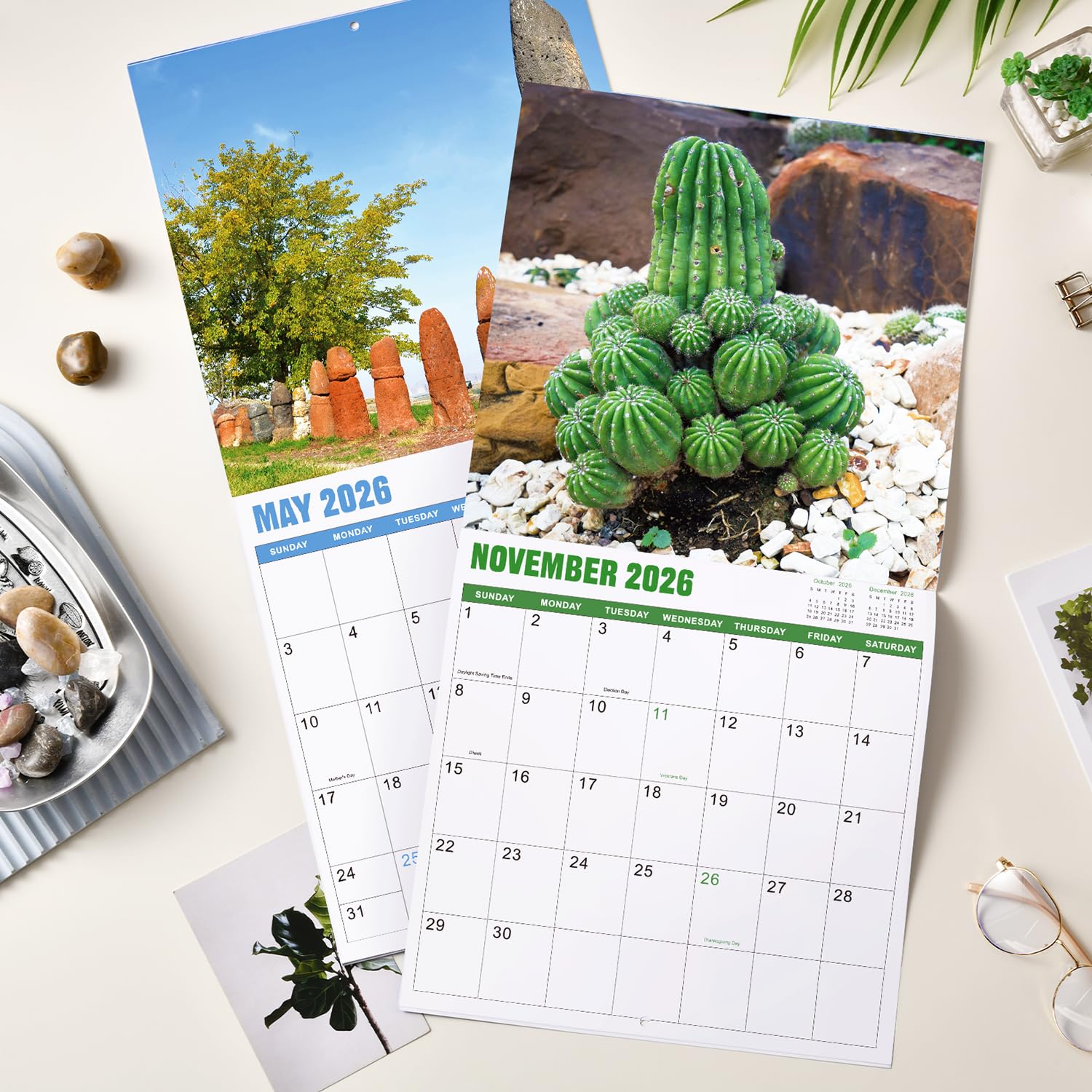 Gag Gifts - Lustiger Wandkalender 2025, Kalender 2025 mit dickem Papier, Januar 2025 - Dez. 2025, 61 x 30,5 cm (offen), am besten für weiße Elefanten-Gag-Geschenke - Nature's Di*ks