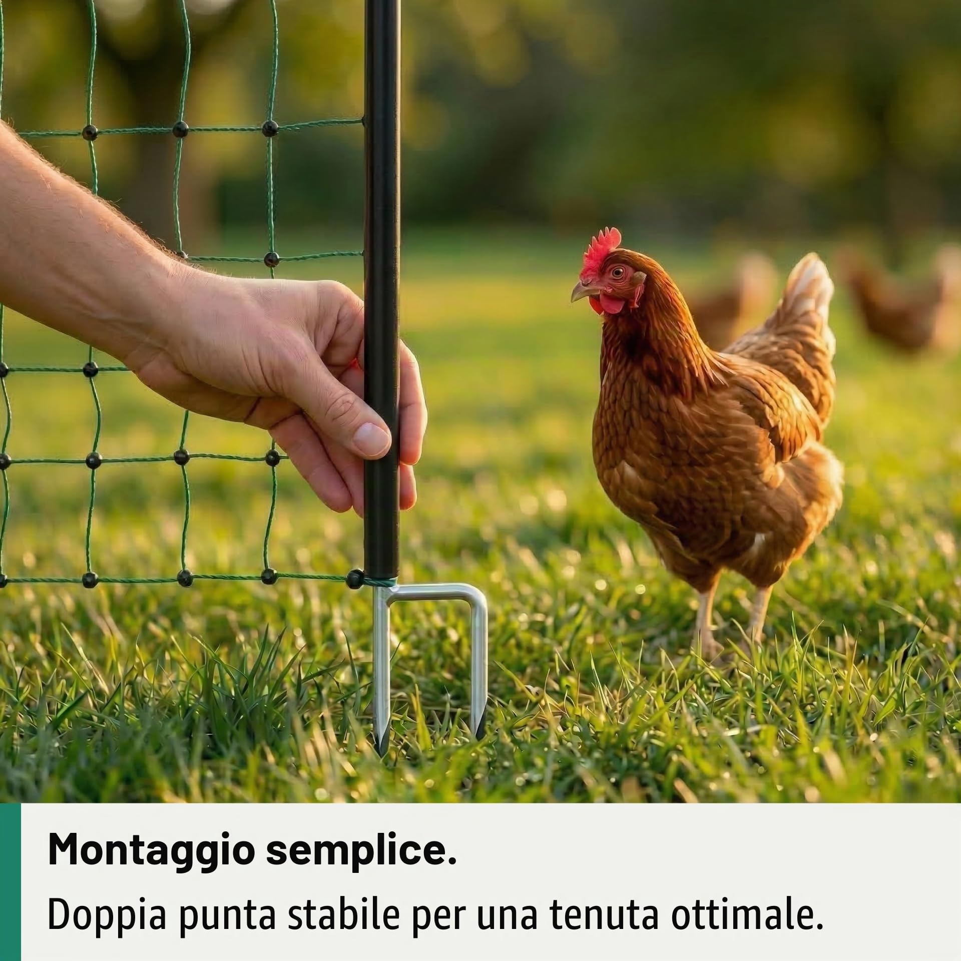 Agrarzone Rete per pollame Classic elettrificabile, Doppia Punta, Verde 50 m x 112 cm - Robusta per polli, Cani e Gatti - Facile da installare con 15 Pali e Kit di Riparazione