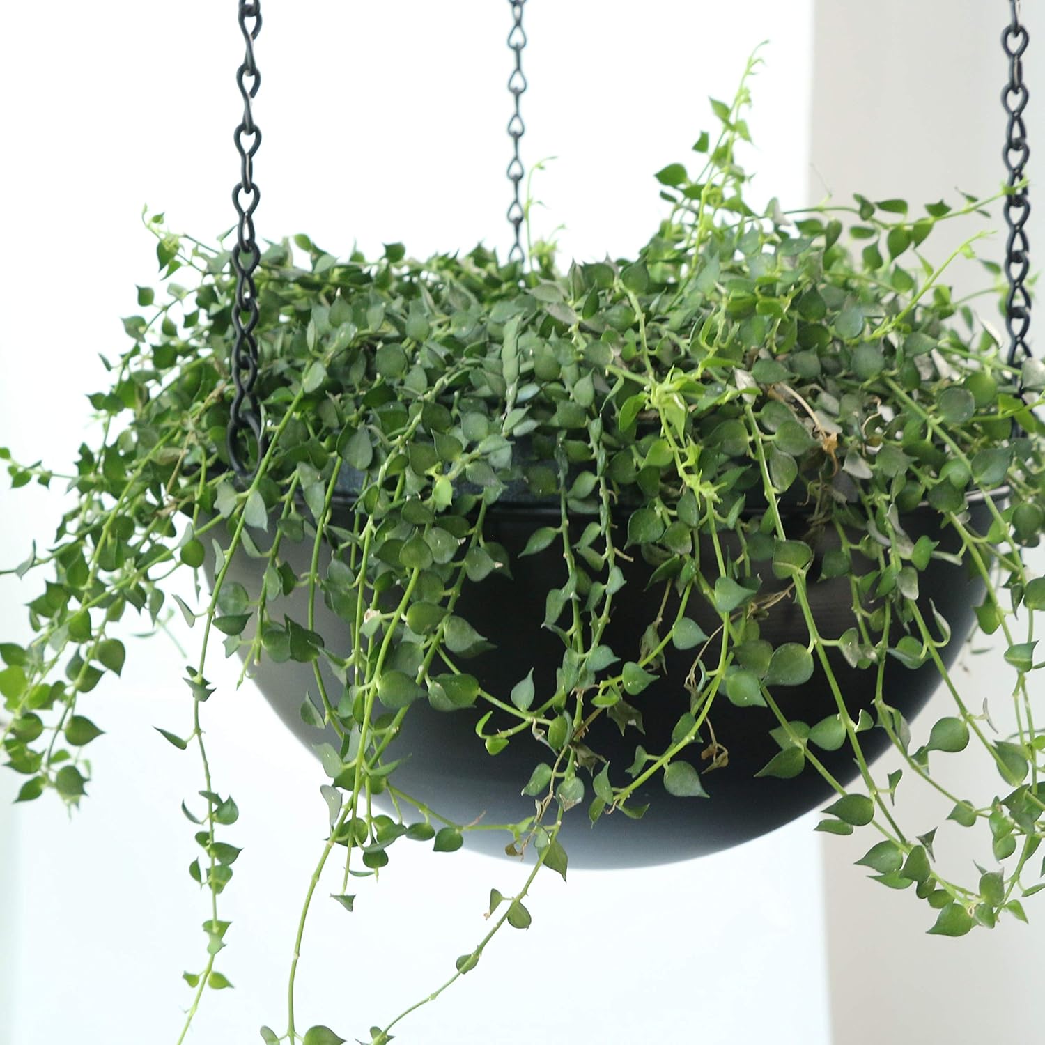 Abetree Modern Metal Hanging Planter for Indoor Outdoor Plants with Hook 2 Tier Boho Wall and Celling Flower Pot Plant Holder Home Decor : Patio, Lawn & Garden