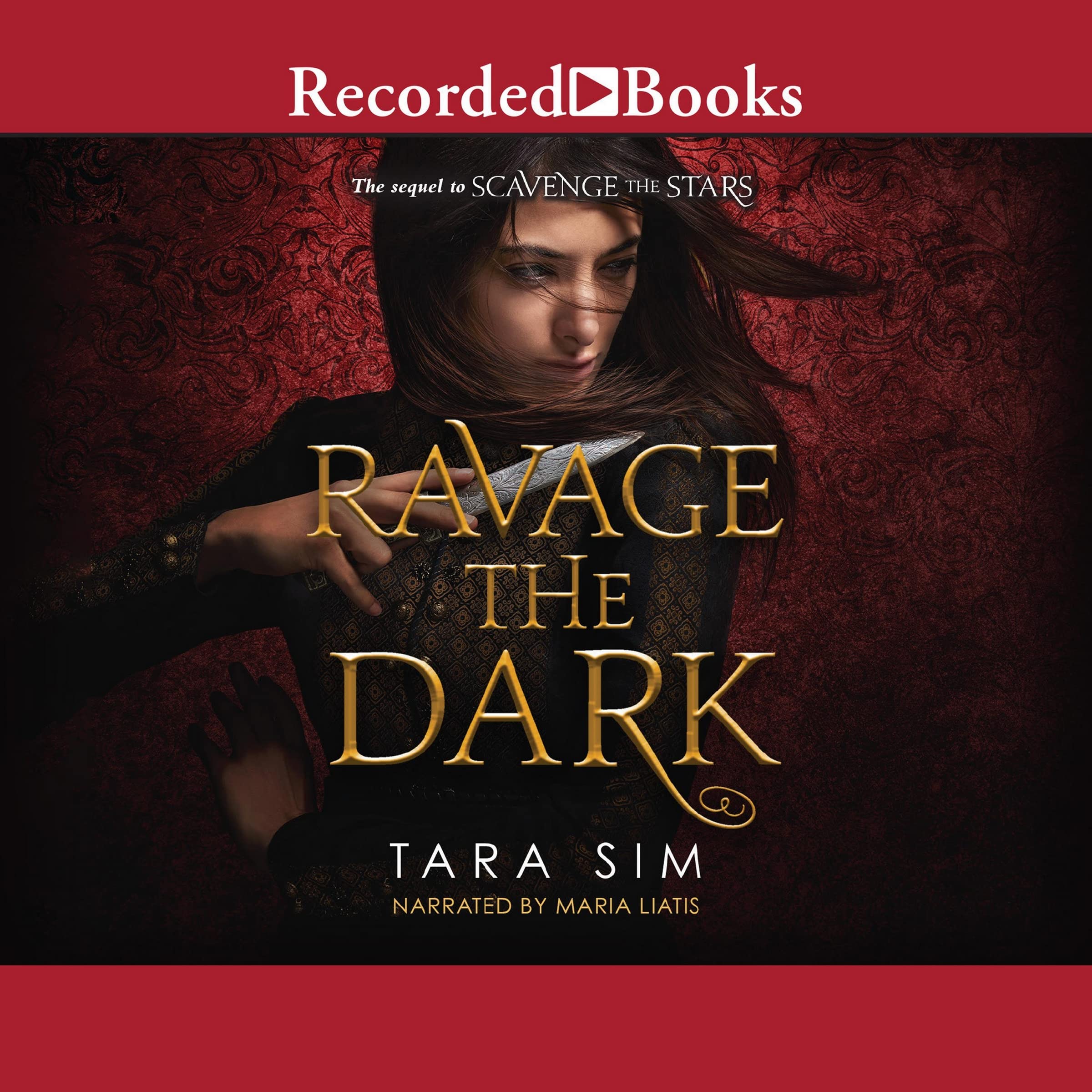 Book cover for Ravage the Dark