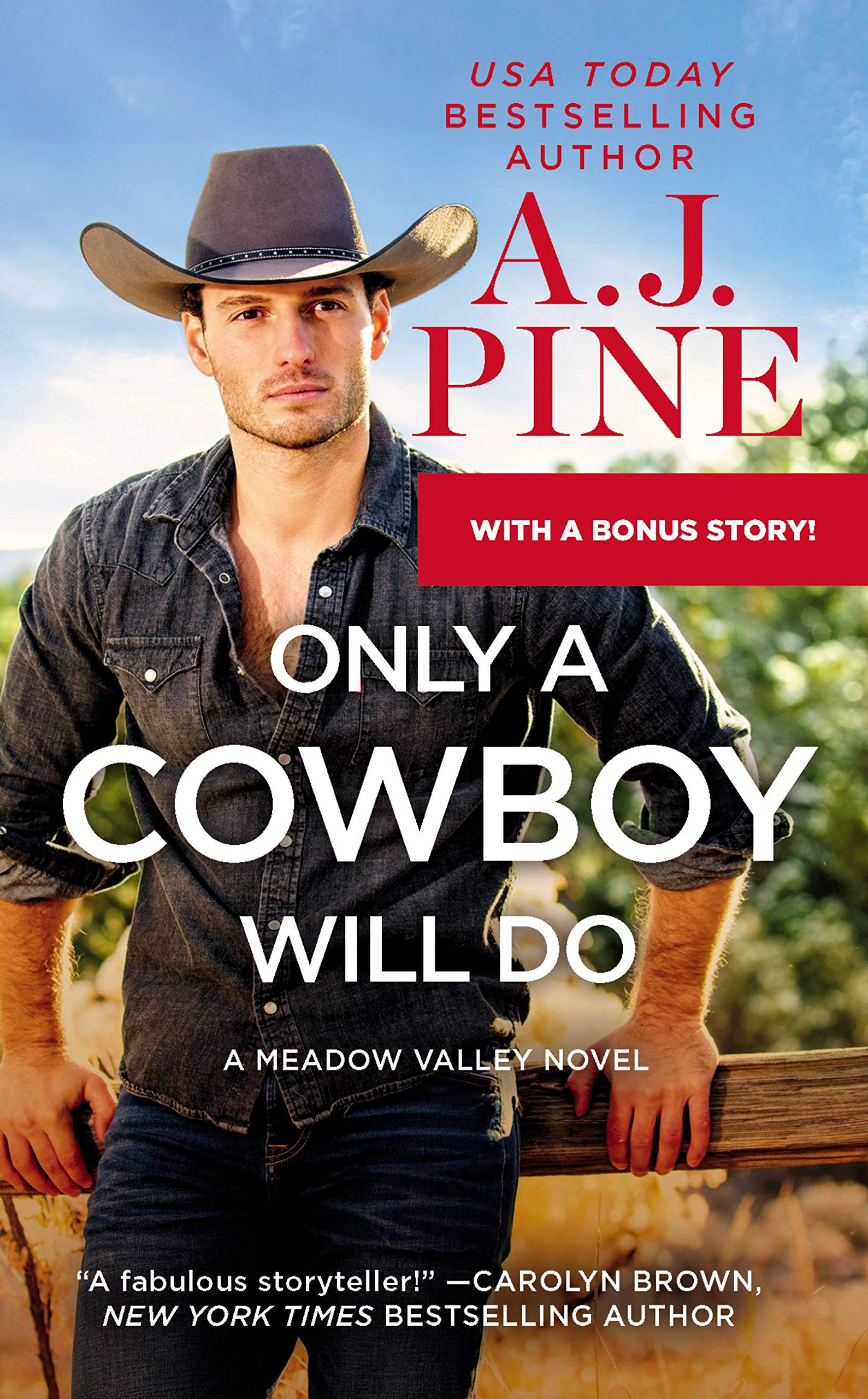 Buy Only a Cowboy Will Do — BookShops.in