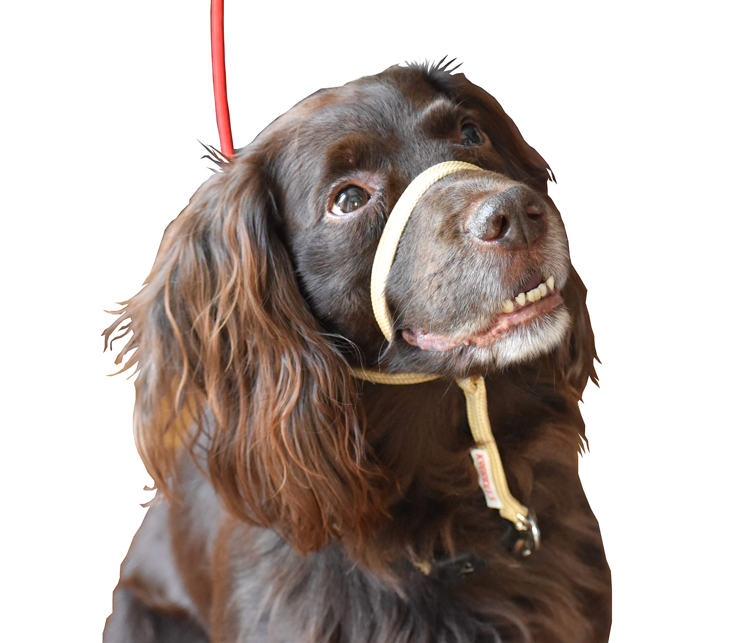 K9 Bridle - to stop your dog pulling (XS, Beige)