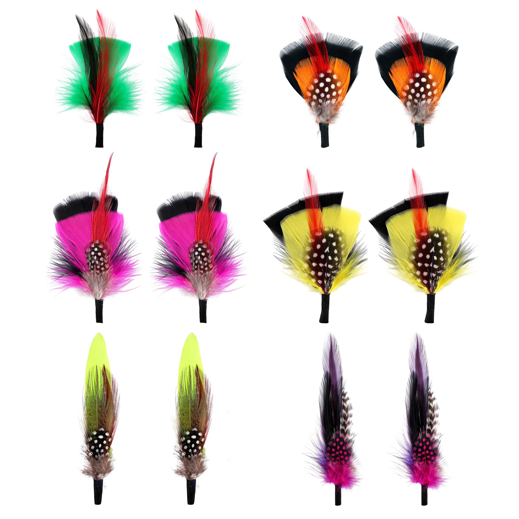 FALETOHat Feathers 12 Pcs Assorted Natural Feather Packs Accessories