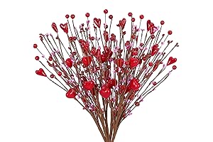 Dolicer Valentine Picks: Heartfelt Touches for a Romantic Valentine's Day Décor