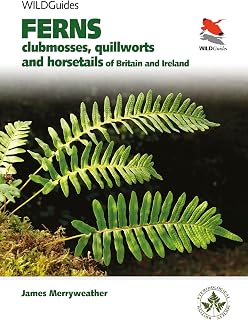 Ferns: Clubmosses, Quillworts and Horsetails of Britain and Ireland (WILDGuides)