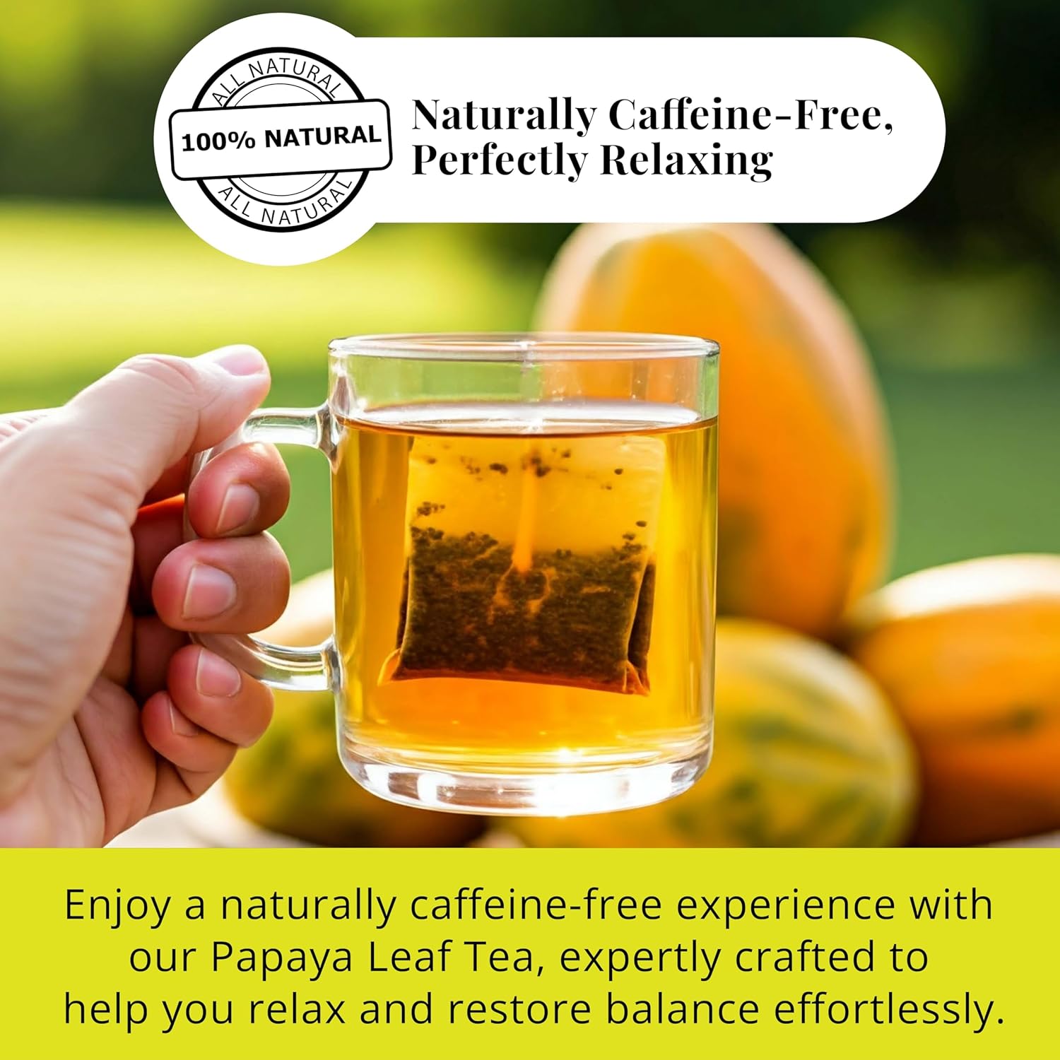 Akshit Papaya Leaf Tea, 75 Tea Bags, 100% Natural Papaya Leaves, Te de Hojas de papaya, Caffeine Free, Non GMO, Gluten free. Pack Of 3