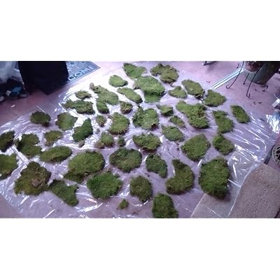 ubuy Albania