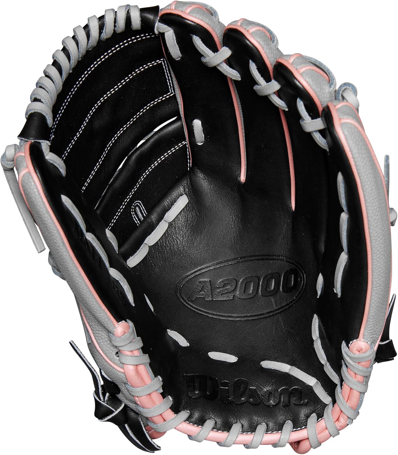 Wilson Fall 2024 A2000® Fastpitch Gloves