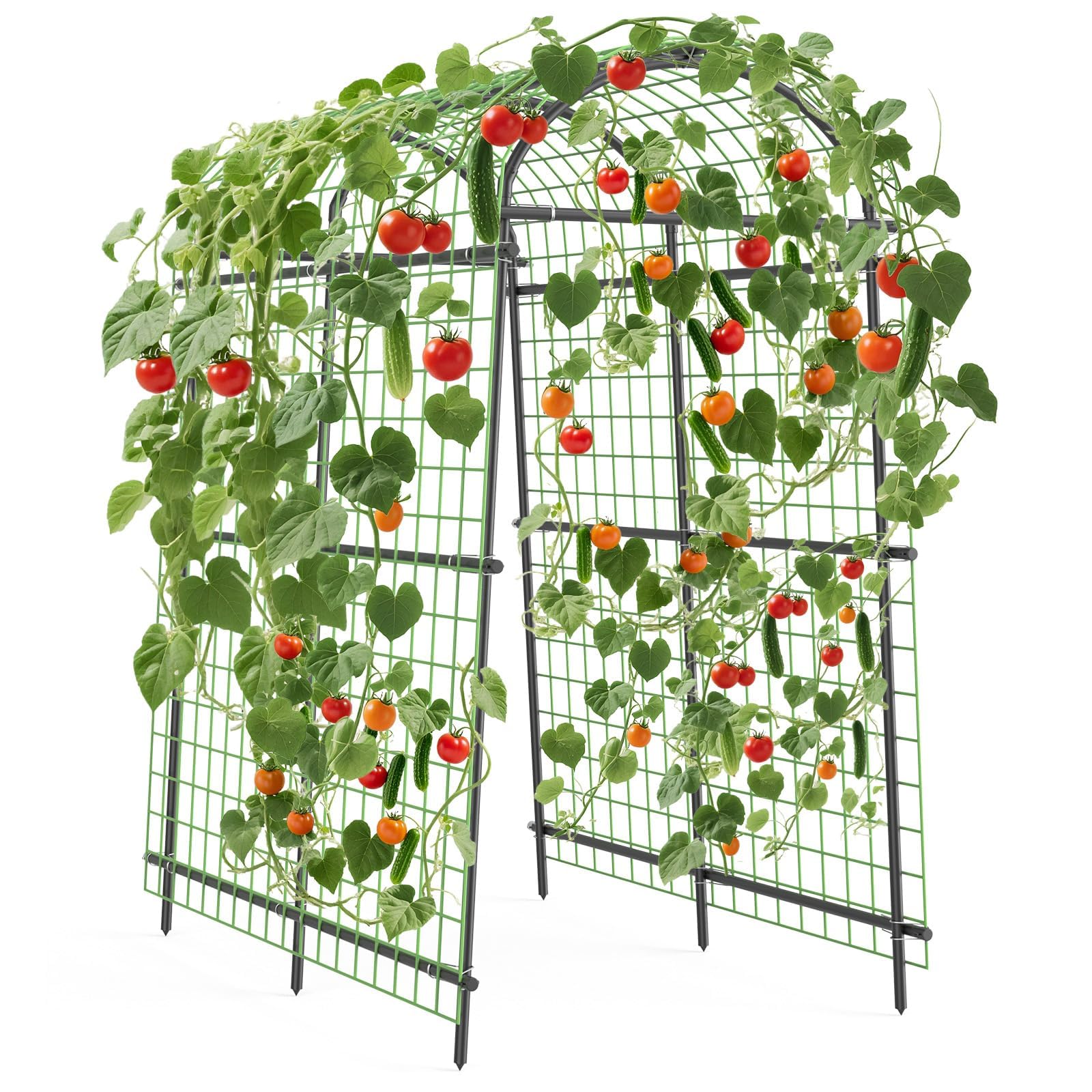 Treillis De Jardin en Métal PE, Haut 230CM, Arche Potager avec Clip en Croix, Support Plante Grimpante Extérieur, Treillis Potager pour Concombres Tomates Pois, Tubes Transversaux 7