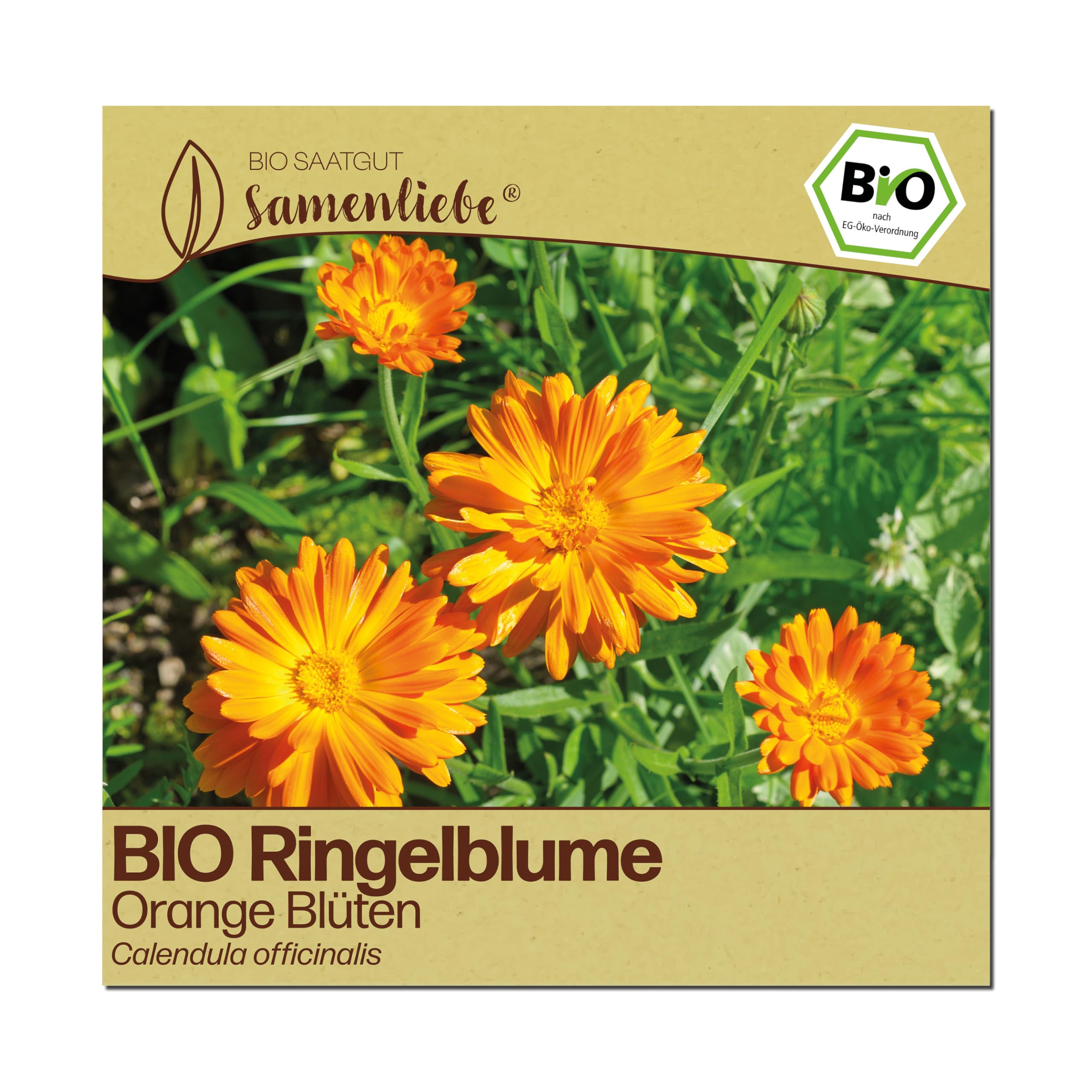 Samenliebe BIO Ringelblumen Samen | Heilpflanze & Wildblume - essbare Blüten - samenfestes BIO Saatgut