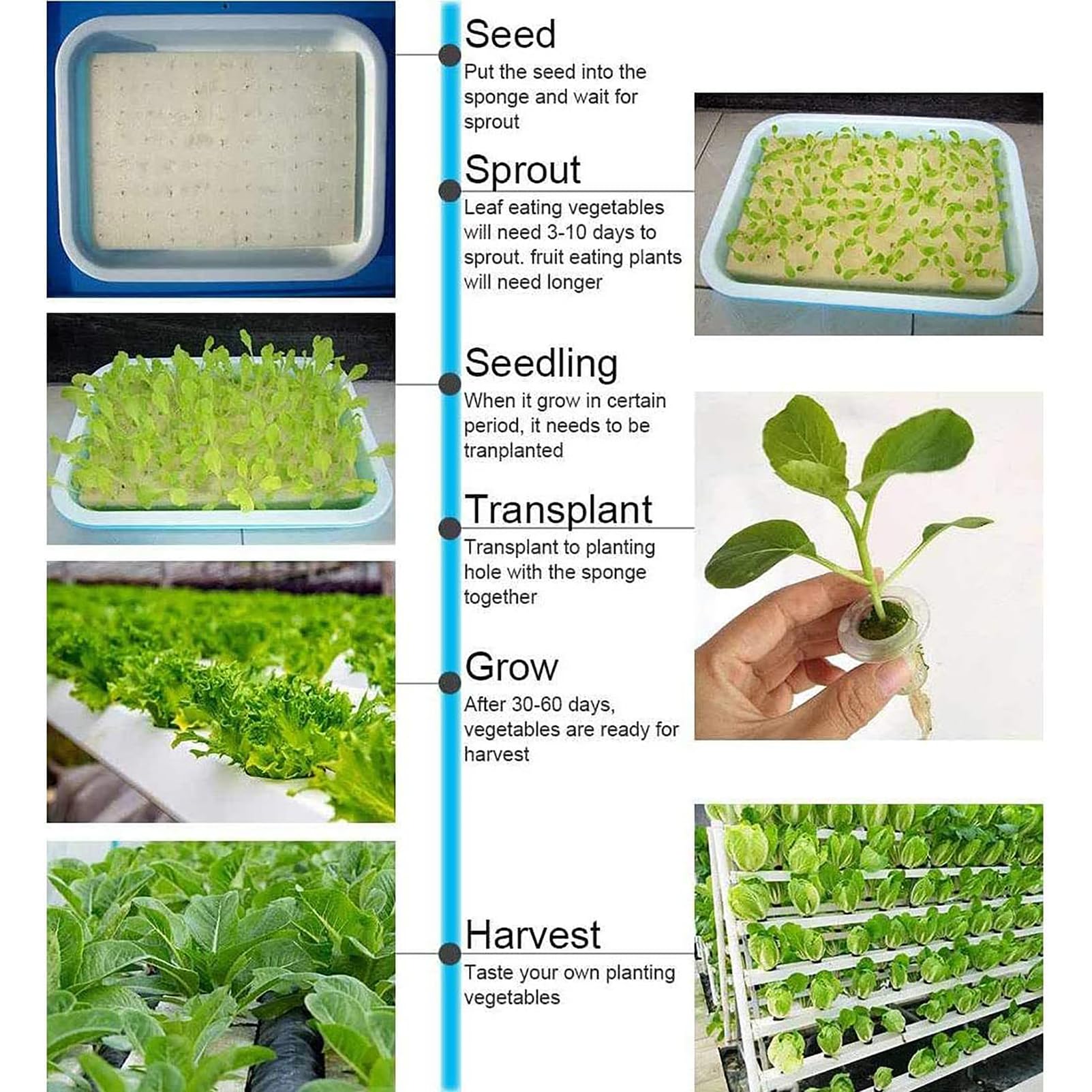 Hydroponic Grow Kit, Wandmontagesystem mit 4 Schichten und 28 Pflanzplätzen, lebensmittelechte Rohre, inklusive Wasserpumpe und Timer für den Anbau von Blattgemüse