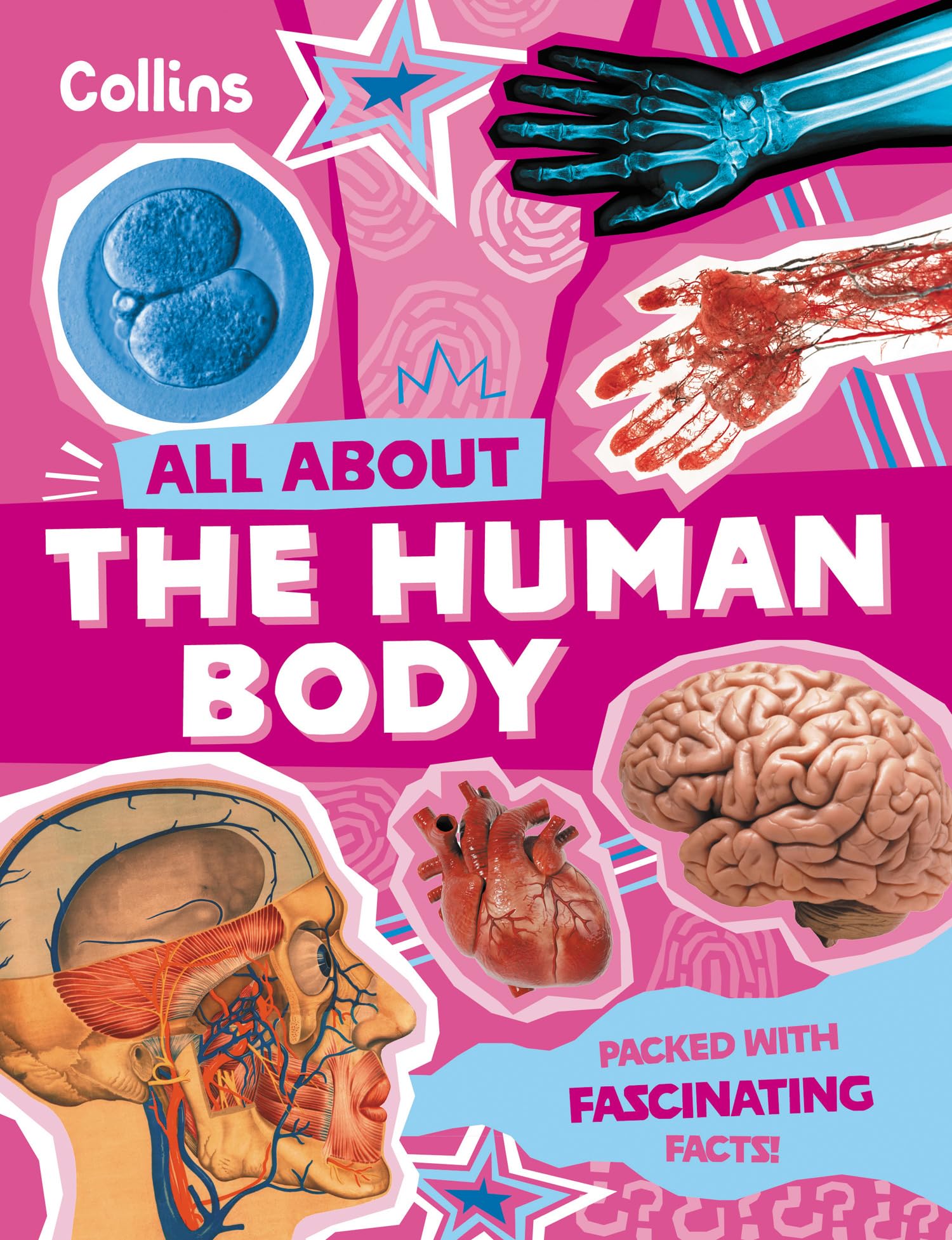 The Human Body: Discover fascinating facts about our amazing anatomy (All About)