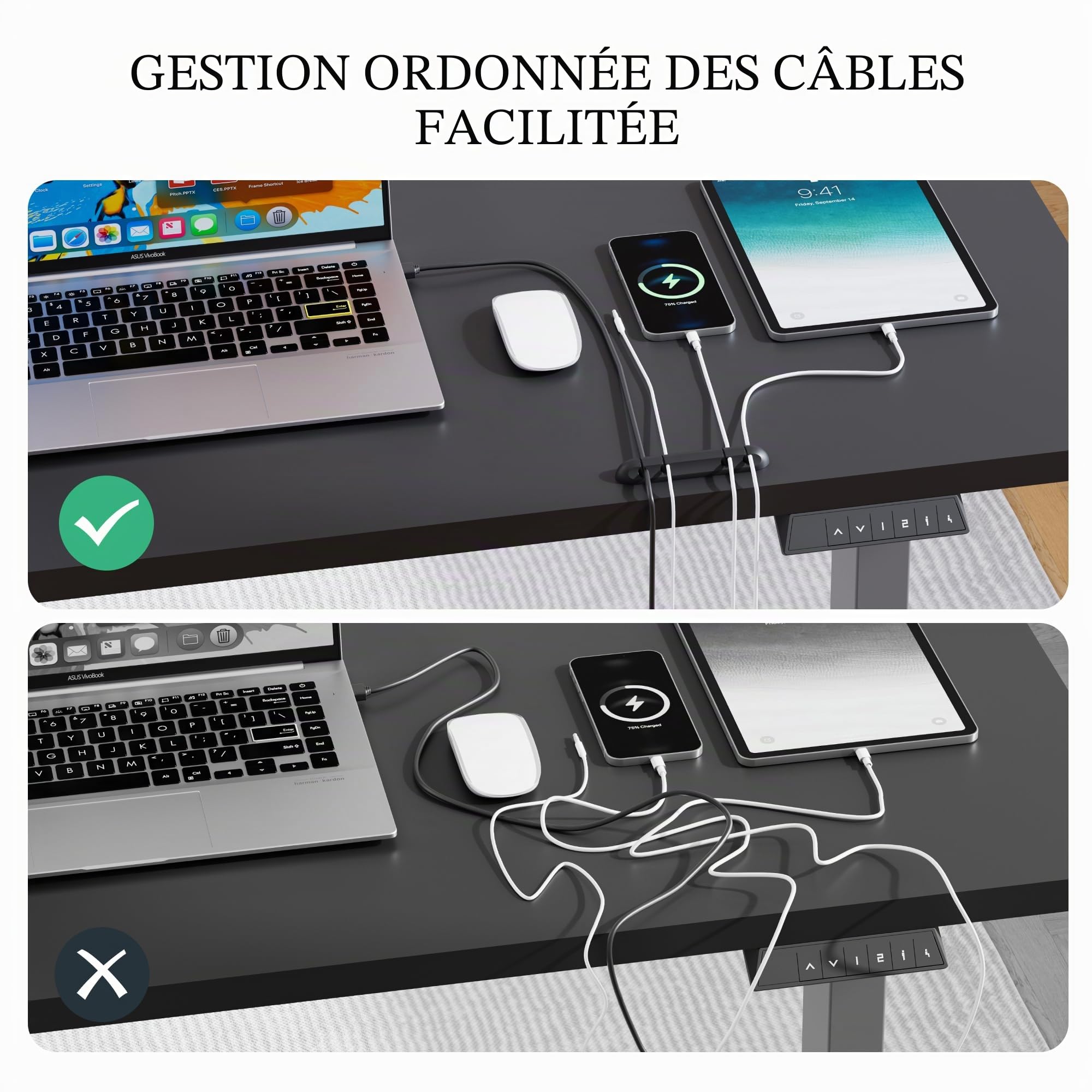 FLEXISPOT Bureau Assis Debout 160x60cm Bureau Réglable en Hauteur Électrique, Panneau de Contrôle à Fonctions Mémoires, Bureau à Télétravail(Cadre Noir+Plateau Noir)