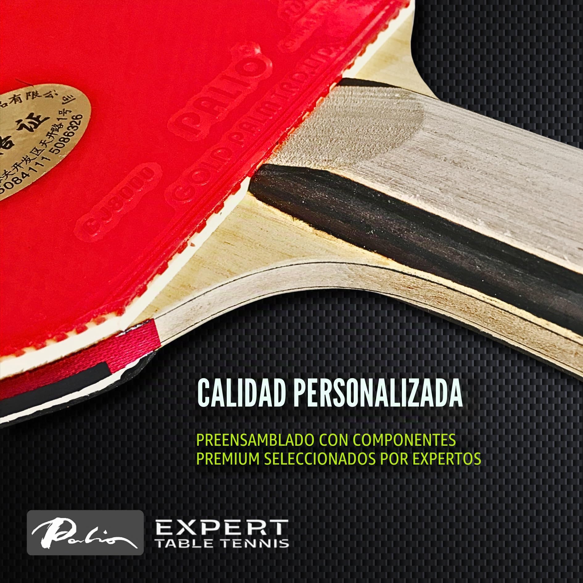 Palio Expert 2.0 - Pala de Tenis de Mesa y Estuche | Raquetas de Ping Pong de Alto Rendimiento aprobadas por la ITTF para Principiantes | Máximo Giro y Control