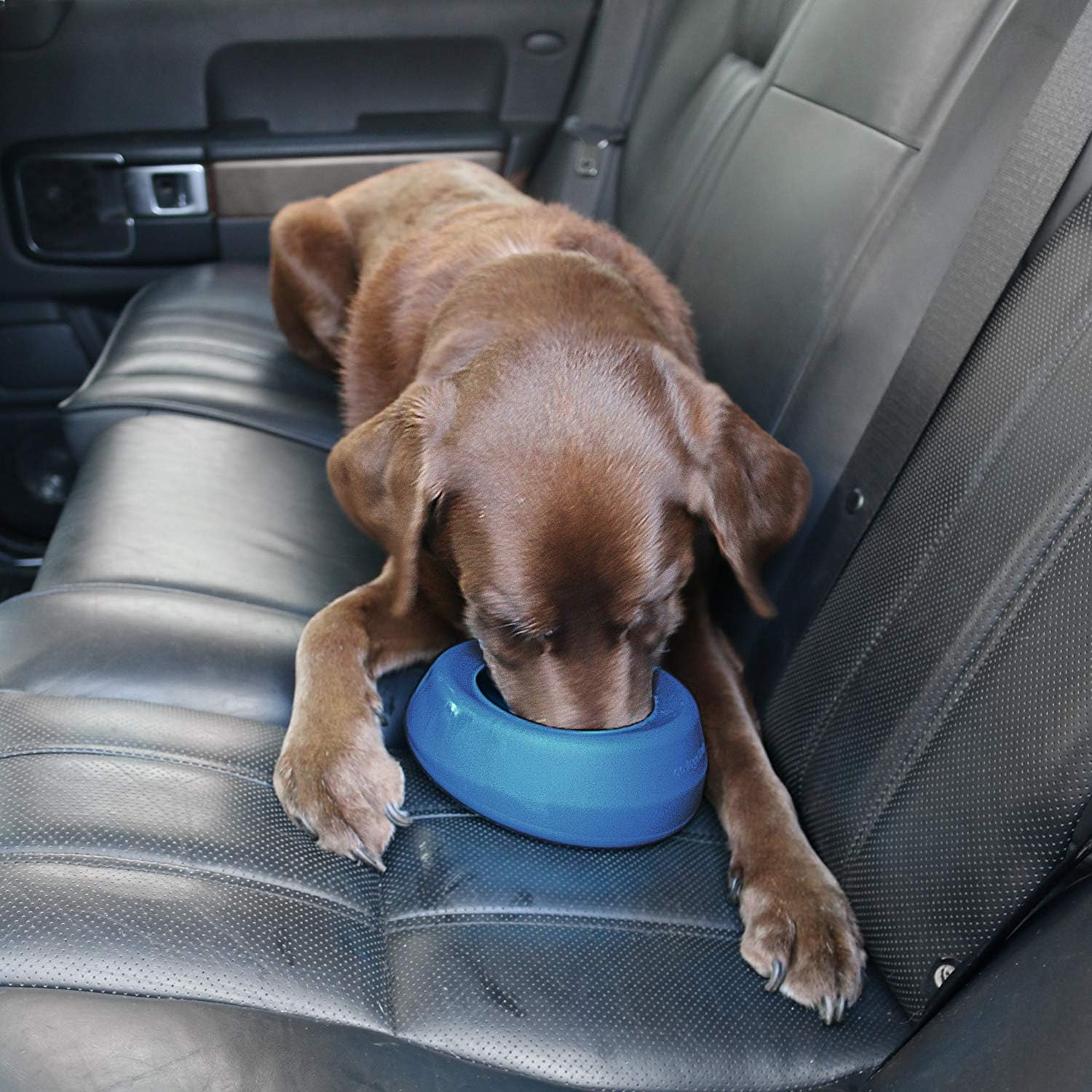 Coastal Blue Silicone Splash-Free Dog Water Bowl