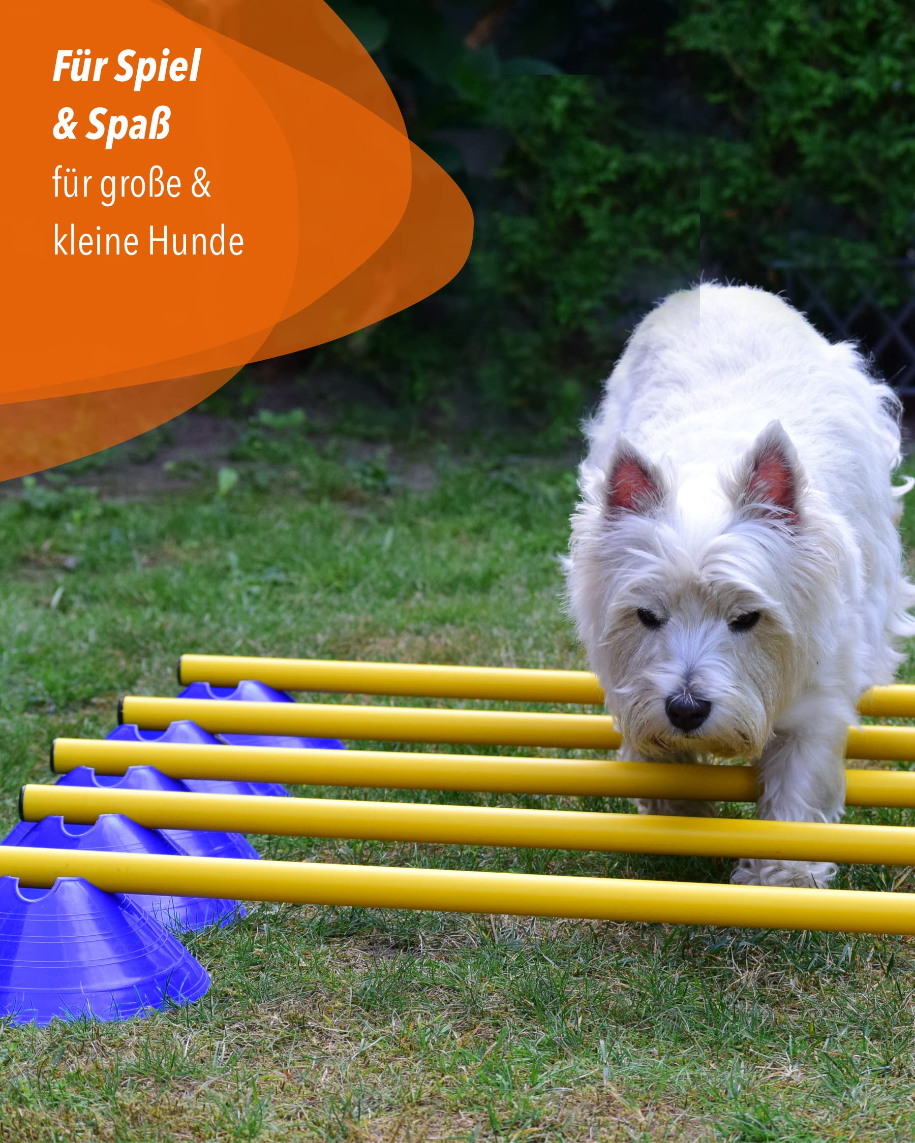 Mini-Hürden 10er Set & Stangen 100 cm – Cavaletti für Agility- & Koordinationstraining – Hürden & Slalom für Hunde, Teamsport, Kinder & Pferde