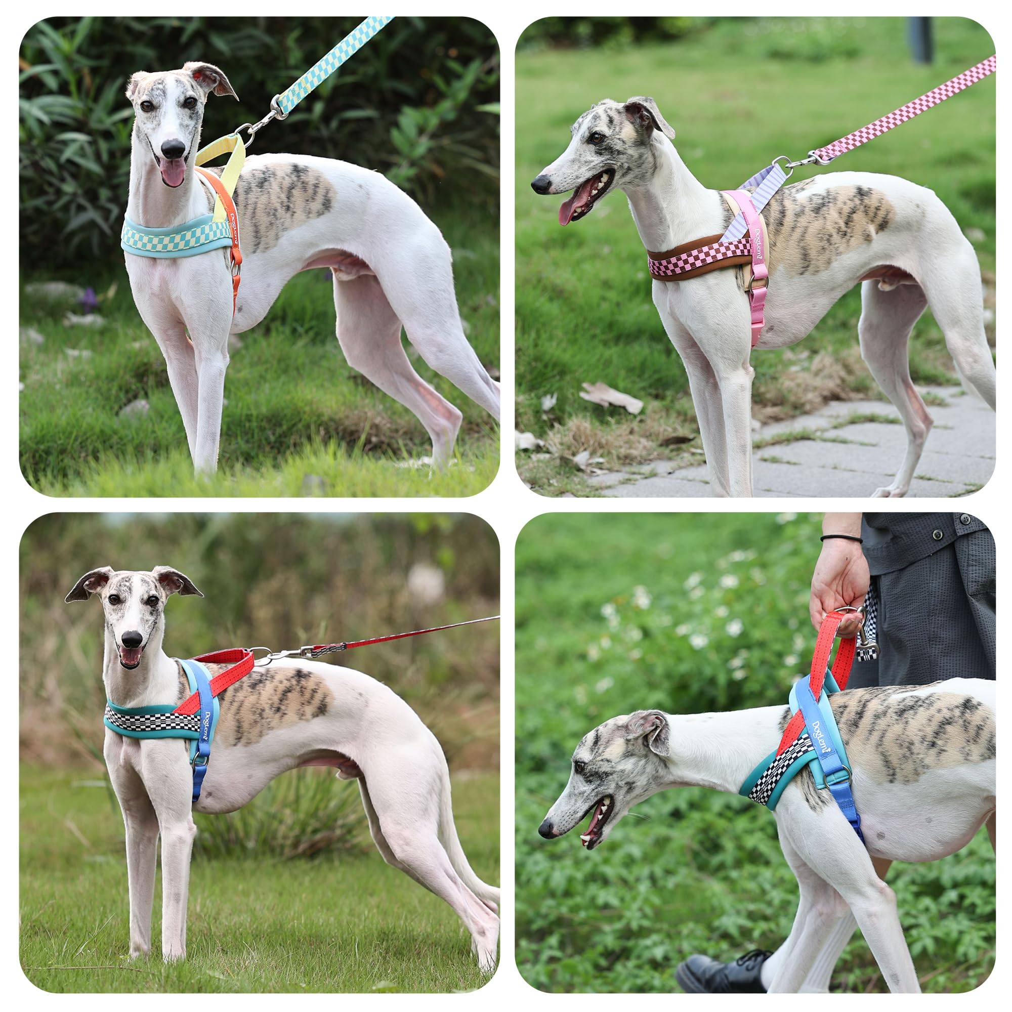 Farbblockierendes Hundegeschirr, kein Ziehen, ausbruchsicher, Haustierweste, Geschirre für Spaziergänge im Freien, verstellbares Geschirr und Leine mit weich gepolstertem Griff für