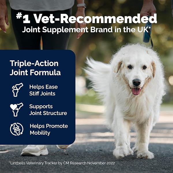 YuMOVE Senior Dog Joint Supplement, Essential Hip & Joint Support for Older Dogs with Glucosamine, Chondroitin, Green Lipped Mussel, Aged 8+, 120 Tablets, Packaging May Vary - 3