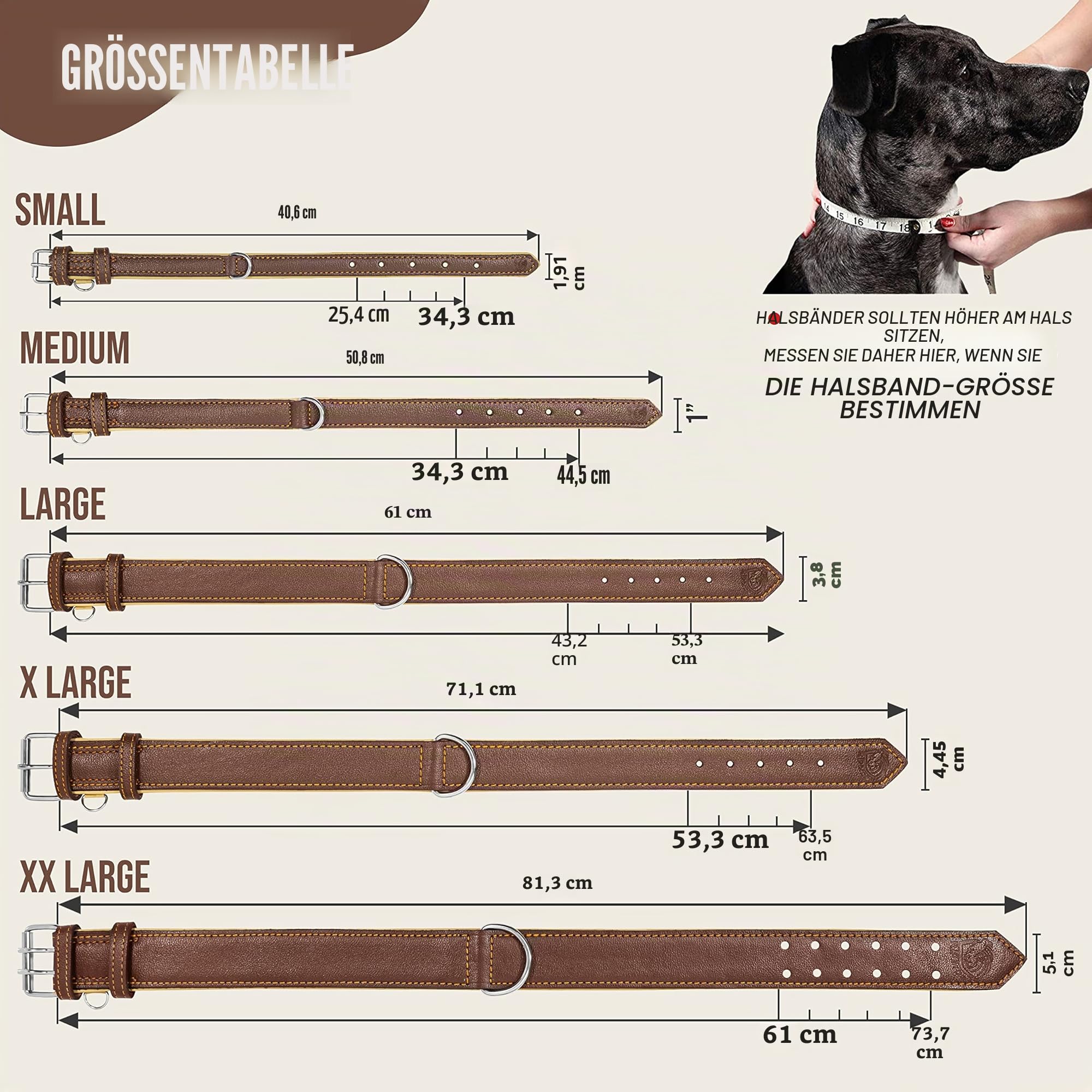 Riparo Echtes Leder Verstellbares Hundehalsband mit Zusätzlicher Verstärkung (XXL: 5CM Breit für 60,9CM - 73,7CM Hals, Braun)