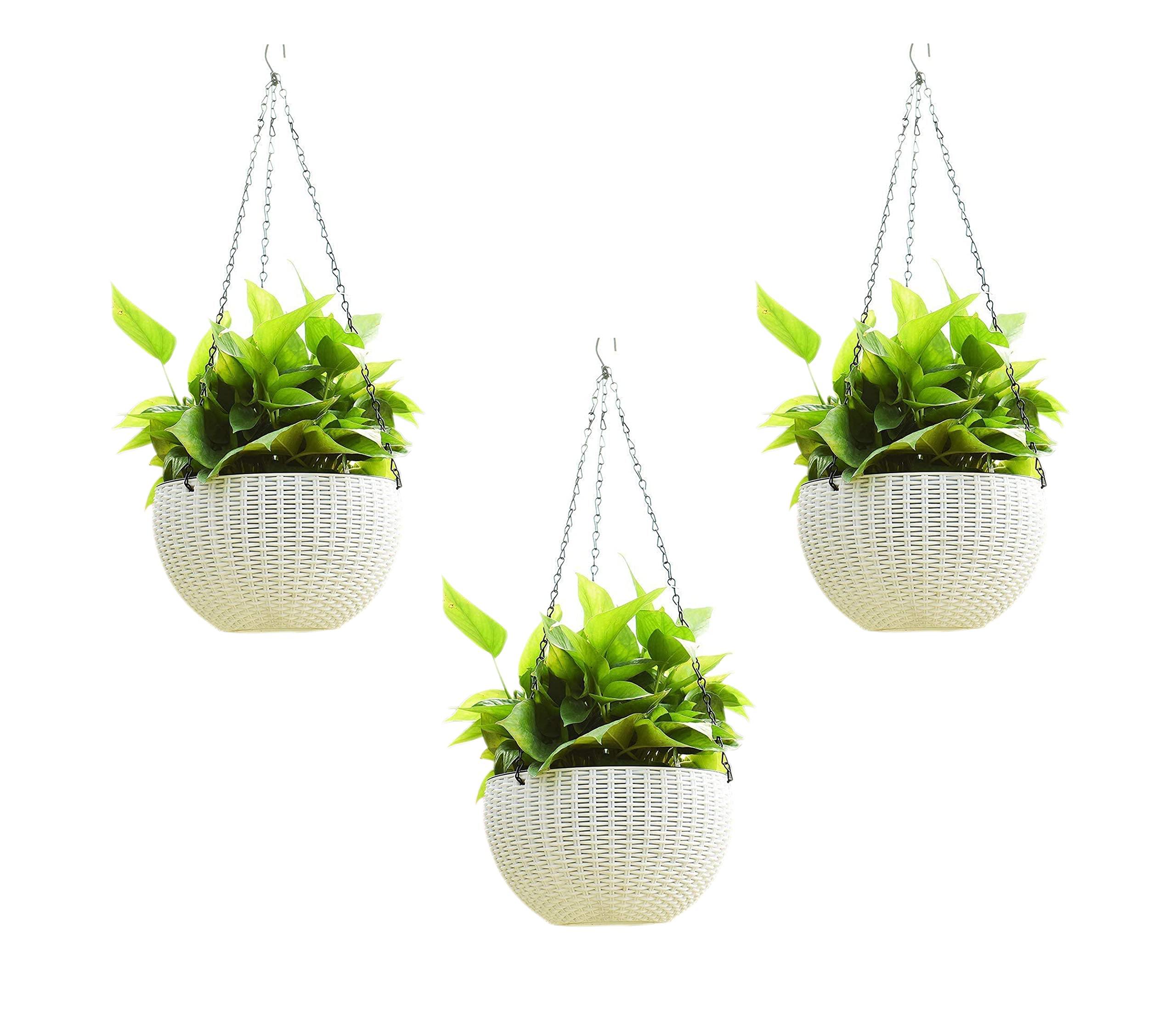 God of Goods Round Rattan Woven Design Hanging Euro Basket Planters Indoor/Outdoor with Hanging Chain/Pot Diameter 8.5 Inch, Pot Height 4.8 Inch, Pot Thickness 3 mm(White, Pack of 18) (B09M6Y9MSH) Amazon Price History, Amazon Price Tracker