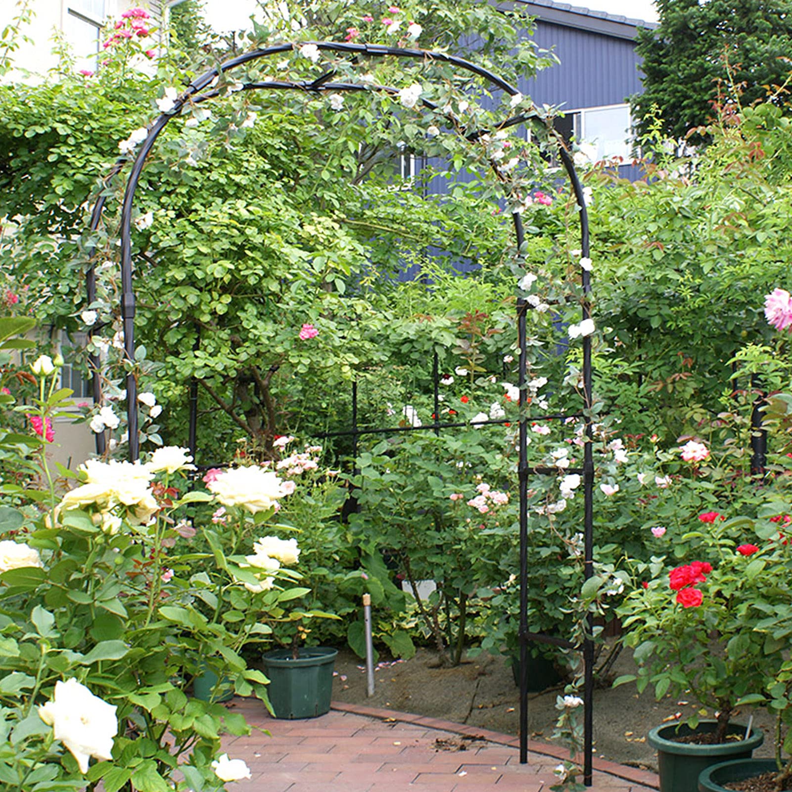 Arche à rosiers en métal noir tonnelle de jardin pour plantes grimpantes