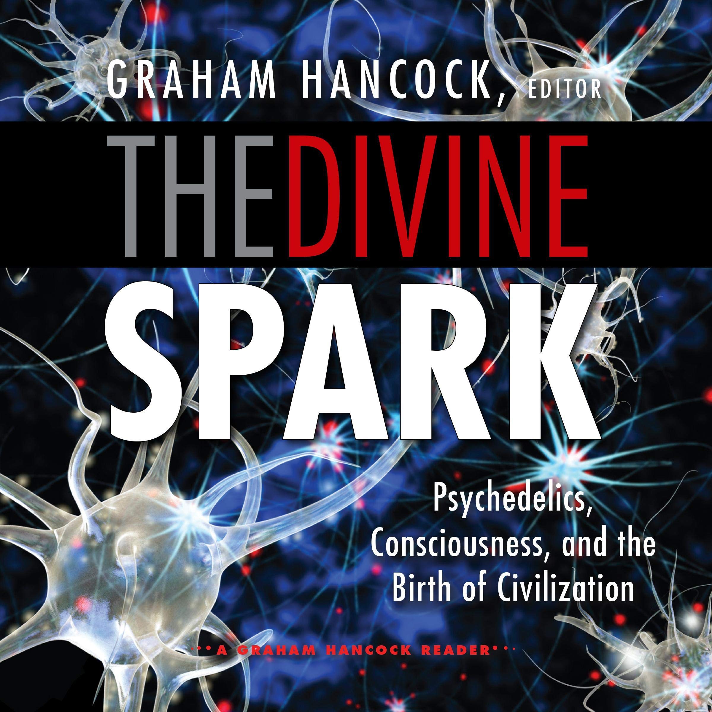 Cover art for The Divine Spark