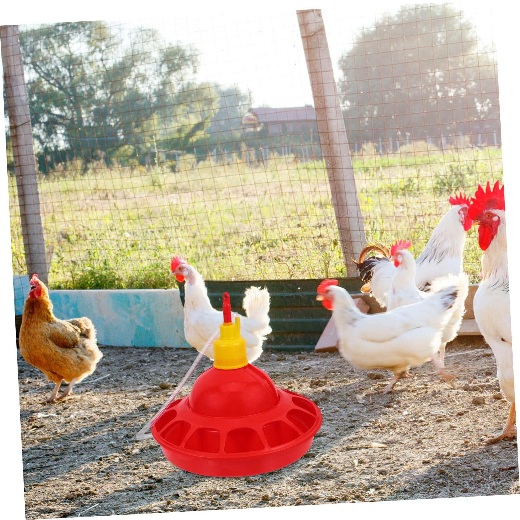 Toyvian Abbeveratoio Automatico per Pollame e Pappagalli in Pp Rosso Design Unico, Materiale Stabile e Facile da Pulire, per Negozi di Animali e Zoo