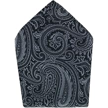 Trafalgar Men's Sobee Paisley Silk Pocket Square