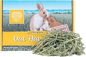 Nourish Your Bunnies with Premium Oat Hay from Small Pet Select!
