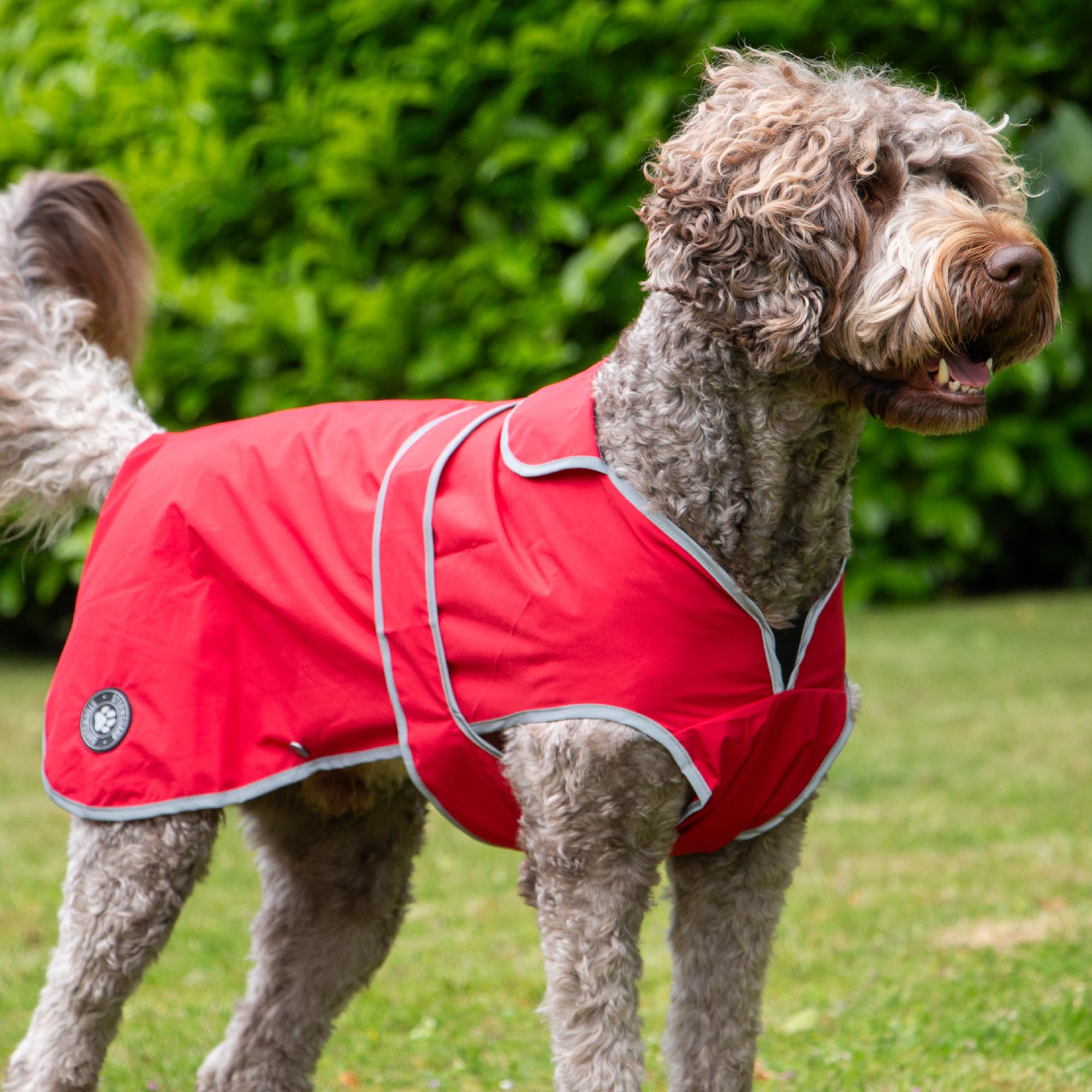 Ancol Płaszcz dla psa Stormguard Soft Shell w kolorze bordowym - wodoodporna kurtka przeciwdeszczowa dla zwierząt domowych z otworem na zamek błyskawiczny - odblaskowa odzież dla szczeniaka - S/M