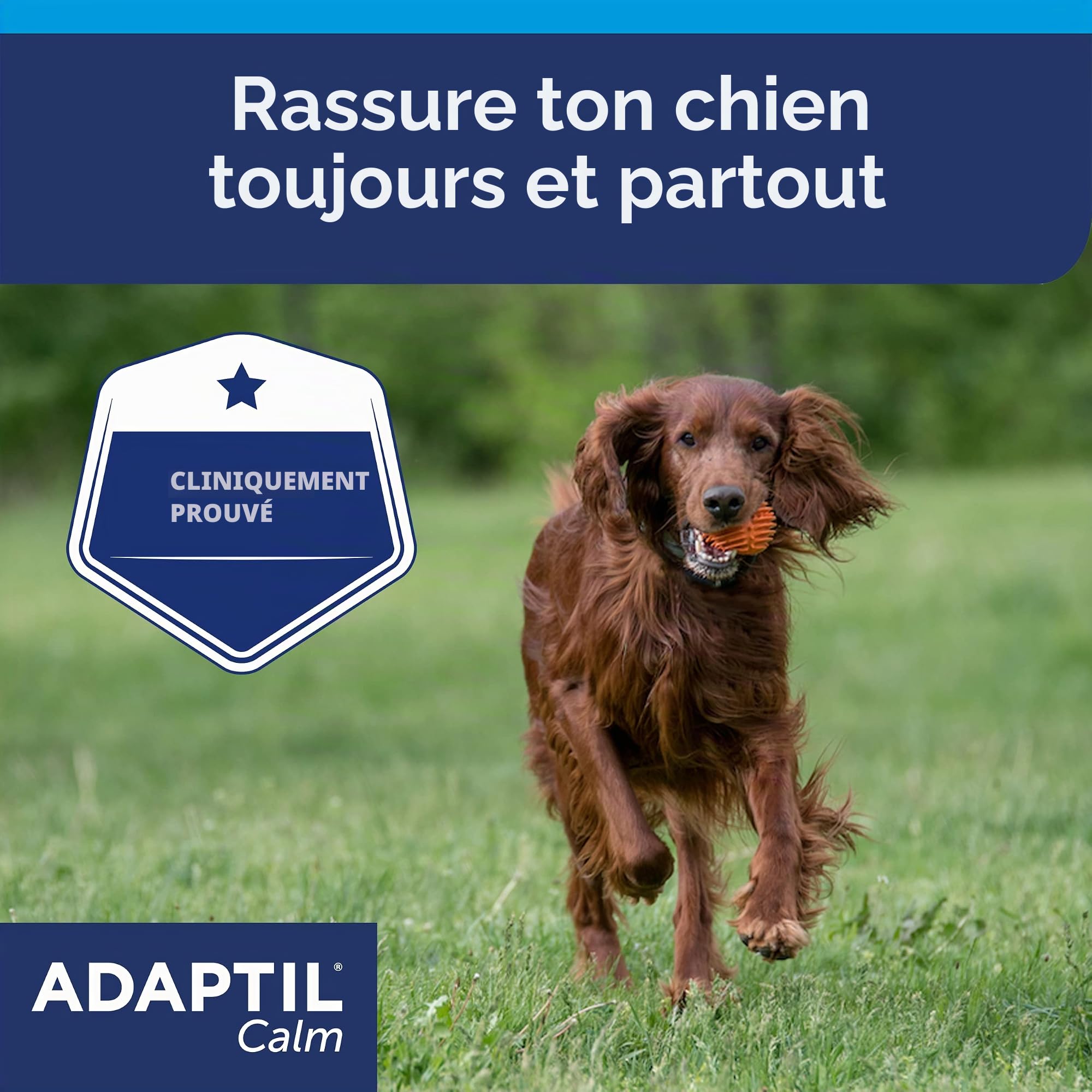 Adaptil Calm Collier - Taille M/L - Collier Anti Stress pour Chien