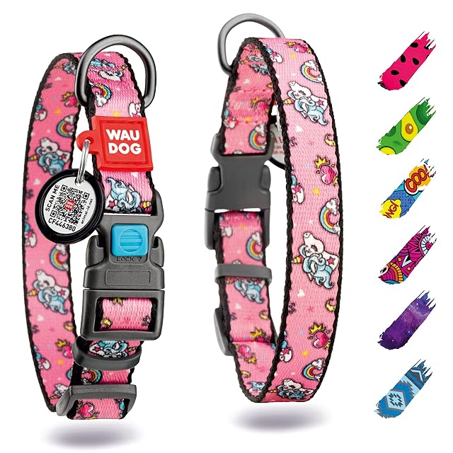 Collar de perro ajustable para perros pequeños
