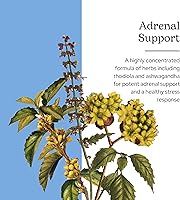 Vista 2 de Eclectic Institute Soporte suprarrenal Fdc 45