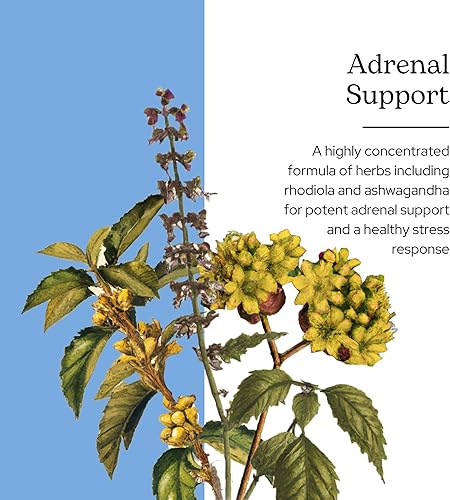 Miniatura 2 de Eclectic Institute Soporte suprarrenal Fdc 45