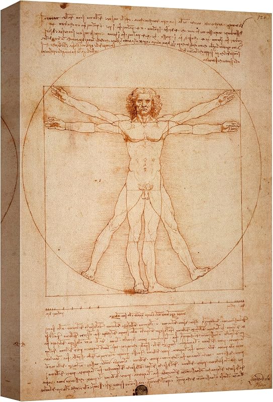 Wall26 Lienzo impreso en lienzo para pared, diseño del hombre de Vitruvio de Leonardo da Vinci, ilustraciones culturales históricas, realismo tradicional escénico expresivo para sala de estar, dormitorio, oficina, 32 x 48 pulgadas