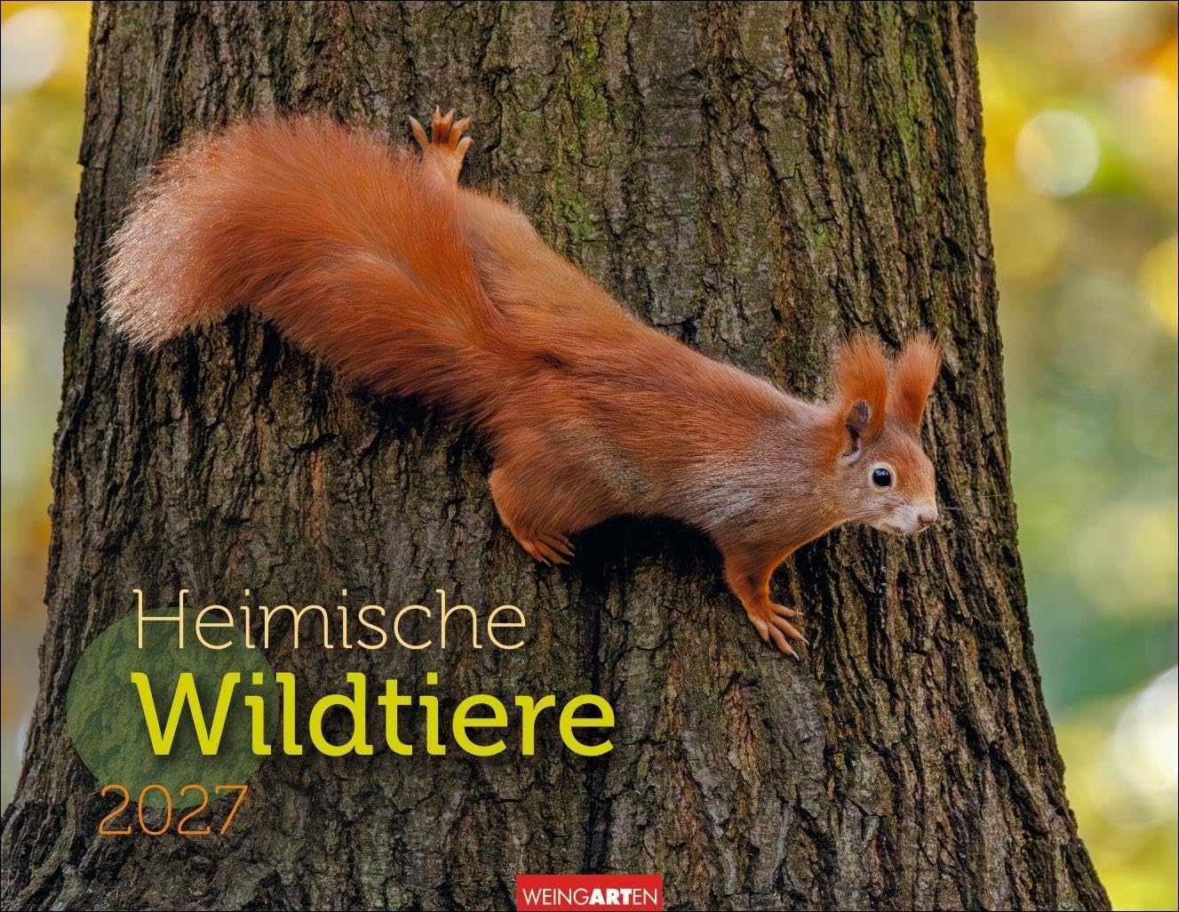 Heimische Wildtiere Kalender 2027: Von Fuchs bis Eichhörnchen: Naturkalender im Großformat mit heimischen Tieren. Posterkalender für Tierfreunde. Hochwertiger großer Wandkalender.